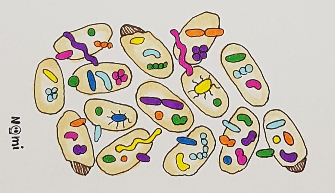 The bacterial world is super rich and highly diverse.