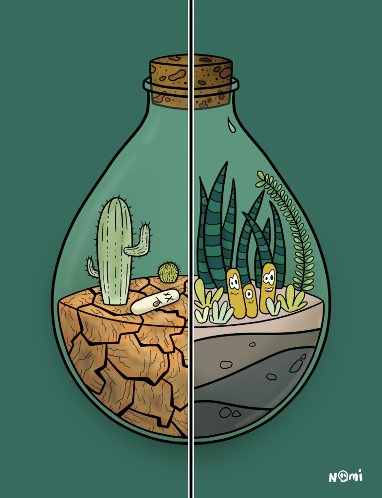 Bacteria inside a glass falcon. On one side, bacteria are in a dry environment showing dry soil and a cactus barely surviving. On the other side, bacteria fourish in humid environments showing green flowers and healthy soil.