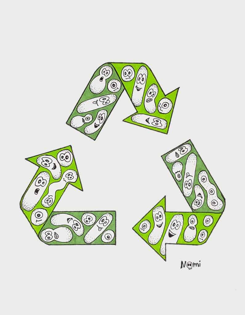 Bacteria produce bio-plastic to store energy. A green recycle sign made of bacteria.