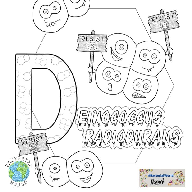 Deinococcus
