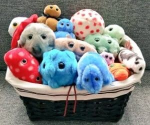 20 (giant) microbes everyone should have heard about