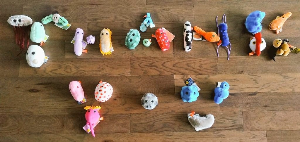 The Giantmicrobes say thank you and hopes you can now appreciate the microbial world. Keep learning about interesting microbes and bacteria!