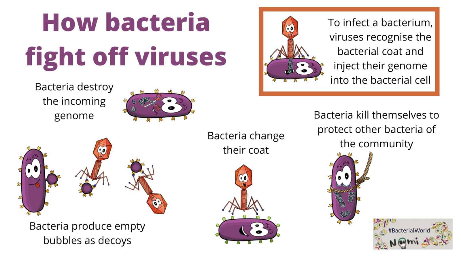 ¿Cómo se defienden los virus?