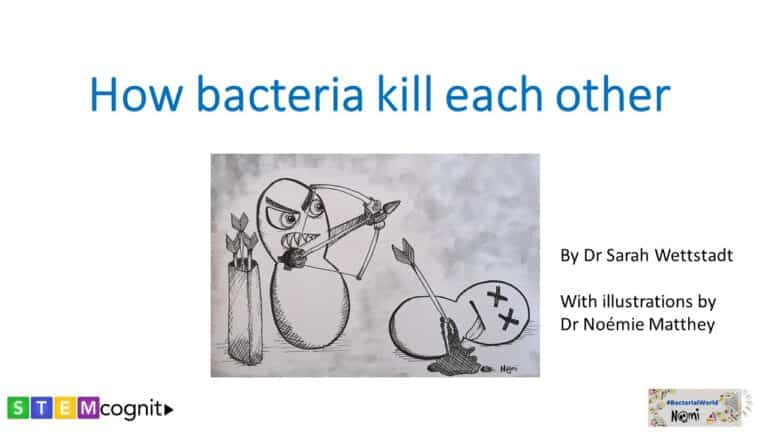 Title slide to the presentation about how bacteria kill each other