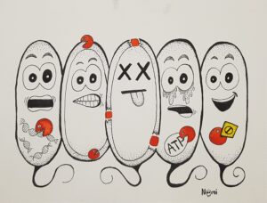 Bacterial toxins chew up essential components of a bacterial cell. They can degrade, DNA or RNA, the bacterial cell envelope or essential molecules or form pores in the bacterial cell envelope. If a bacterium has the cognate immunity, it is safe from the toxin's actions.