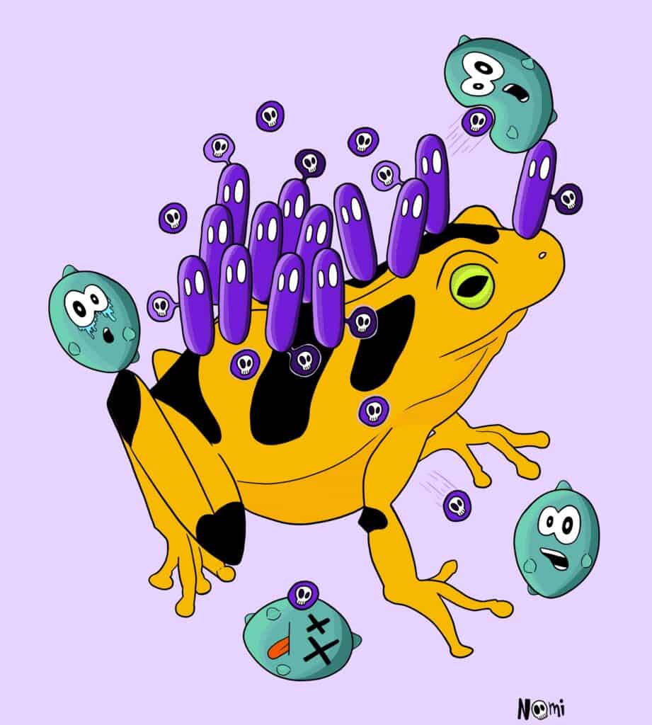 The bacterium Janthinobacterium lividum lives on frogs. Here, the bacteria produce colourful antibiotics to protects the frogs from pathogenic fungal species.