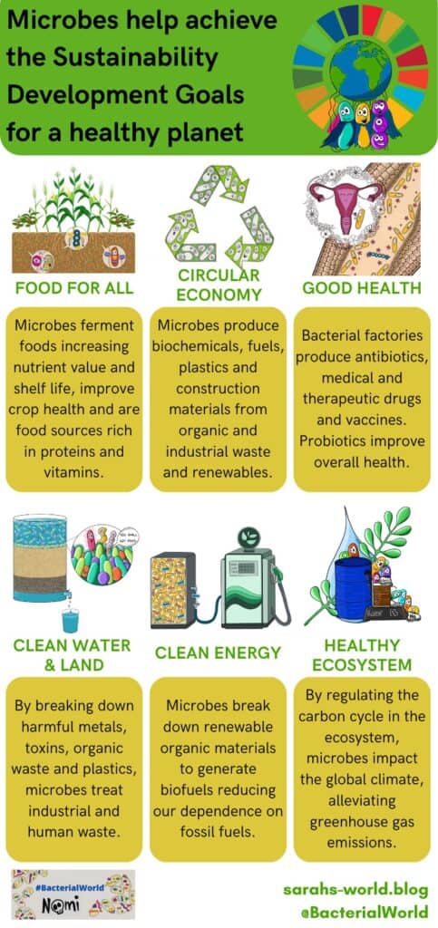Infographic about how microbes support the UN sustainability development goals