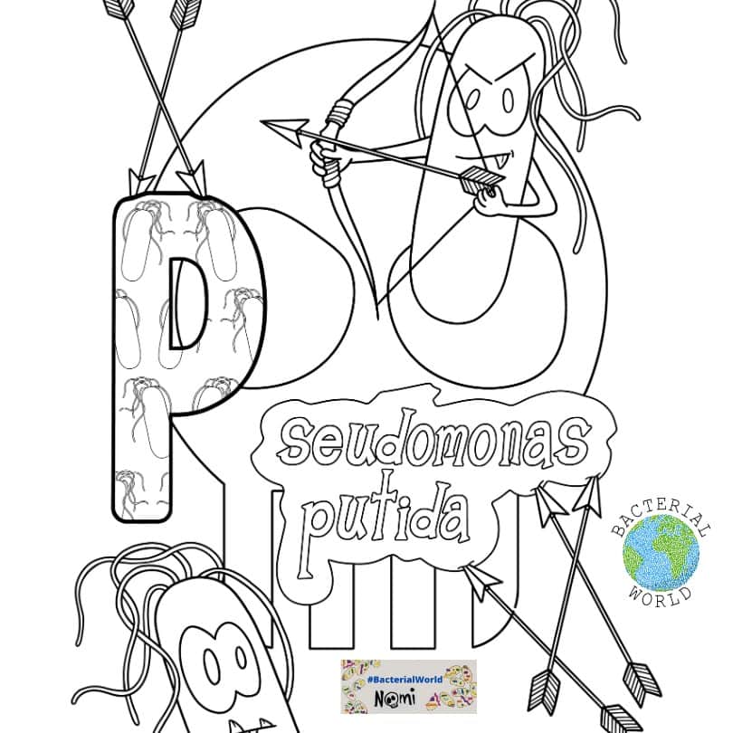 Pseudomonas