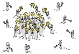 Quorum sensing brings bacteria together and triggers them to make uniform decisions.