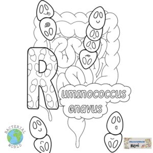 Ruminococcus