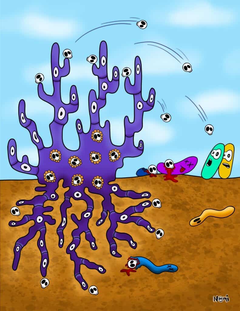 Sciart of how Streptomyces bacteria produce antibiotics and throw them at bacterial foes.