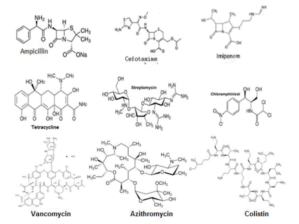 Molecular structures of different antibiotics from different classes.
