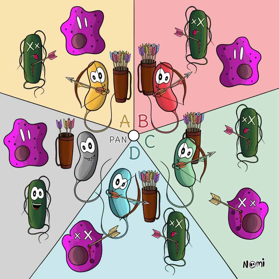 Different bacterial siblings of the Vibrio cholerae family kill their enemies with different weapons and arrows. 