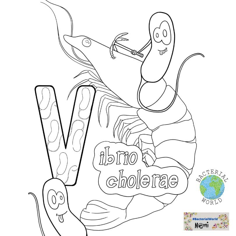 Vibrio