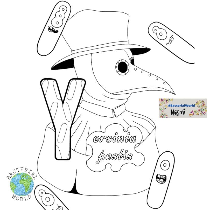 Yersinia