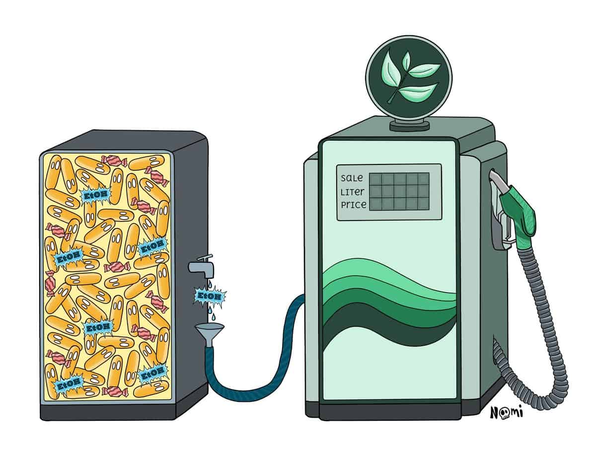 Zymomonas mobilis - bacteria that produce green alternative biofuels