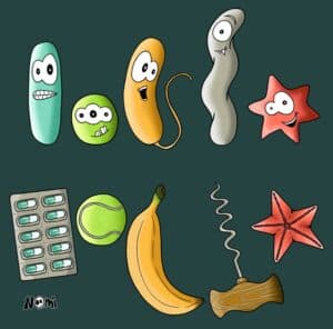 Comic of the different shapes of bacteria