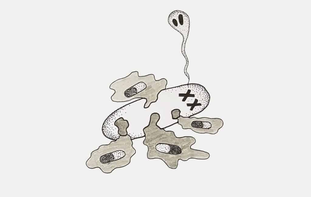 Bacterial ghosts are dead bacterial vehicles that transport drugs.