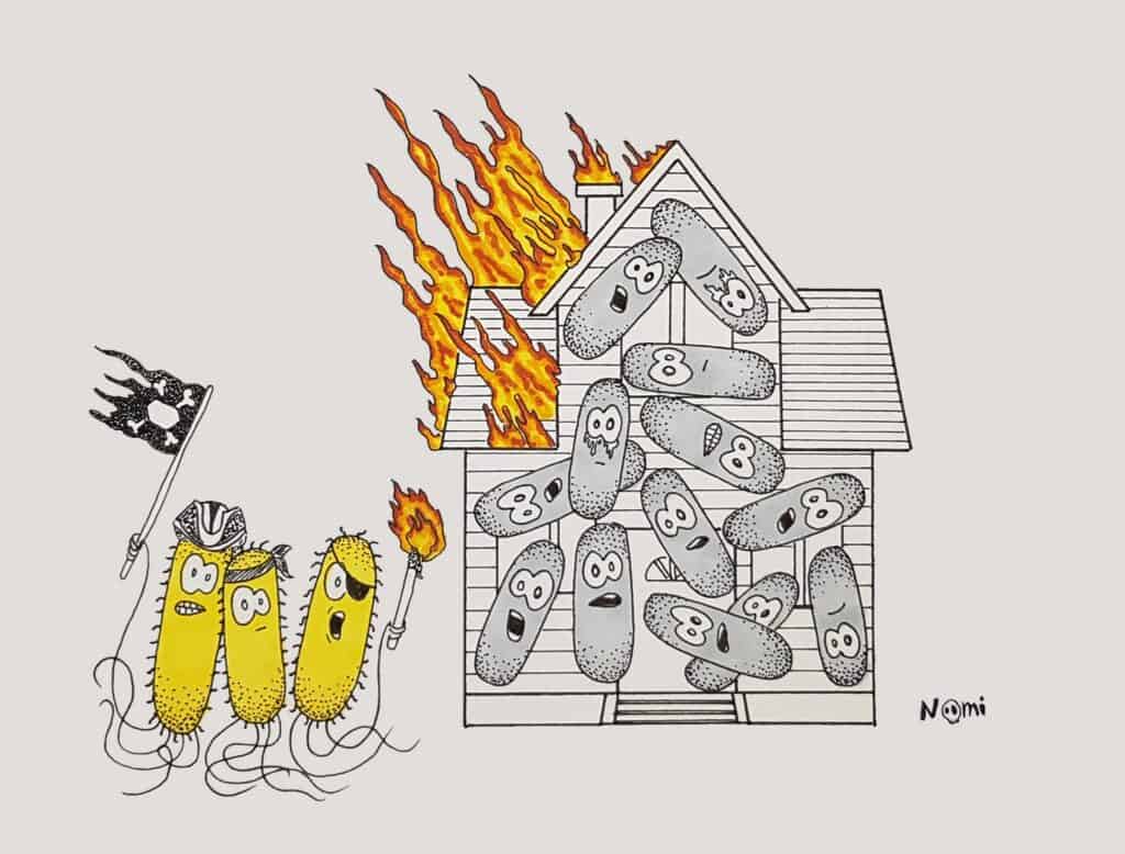 Salmonella bacteria destroy the biofilm of Escherichia bacteria as if they burn their houses down.