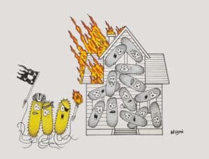 Salmonella bacteria destroy the biofilm of Escherichia bacteria as if they burn their houses down.
