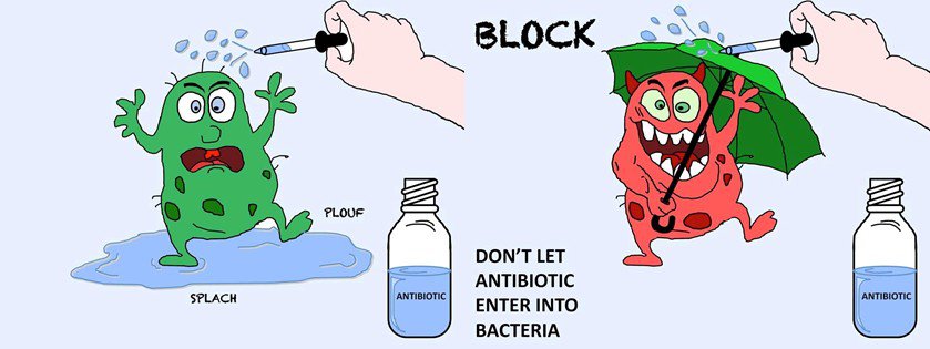 Antimicrobial resistance mechanisms: Bacteria can block the entrance of antibiotics into the cell to become resistant.