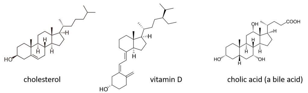 The chemical structures of cholesterol, vitamine D and cholic acid