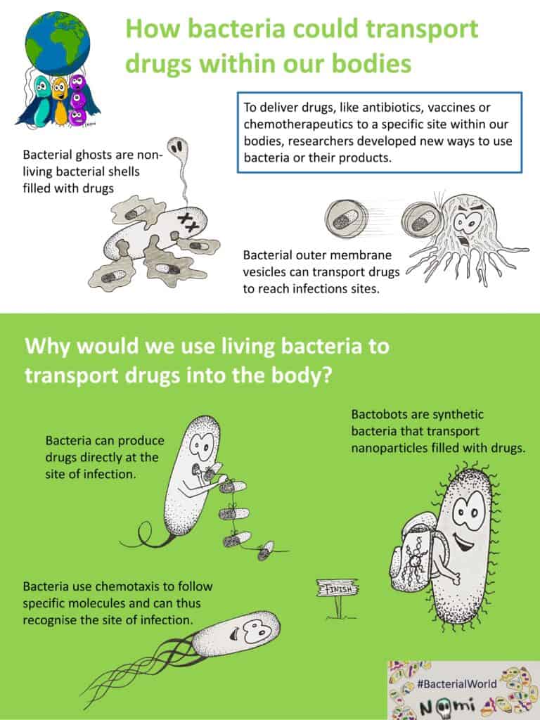 There are many different ways of how bacteria can transport drugs within the human body.