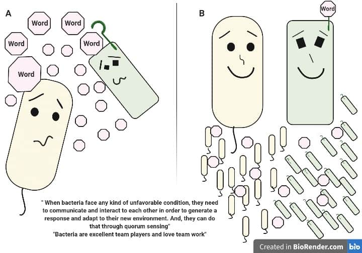 Bacteria use quorum sensing to tell other bacteria that something is wrong.