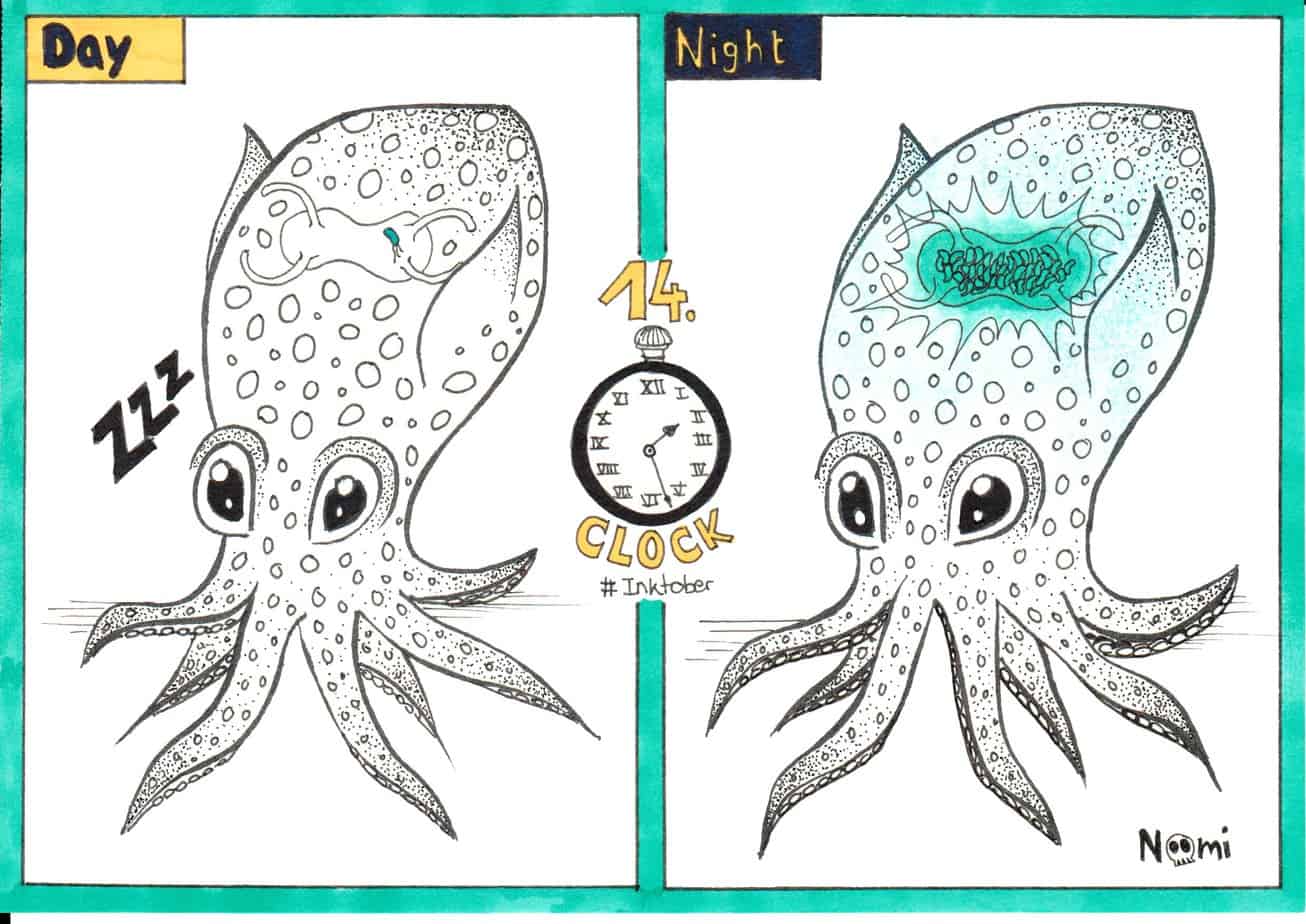 During the day, the squid is asleep. At night, the squid wakes up and the bacteria inside it start growing, doing quorum sensing and producing biolumniescence.