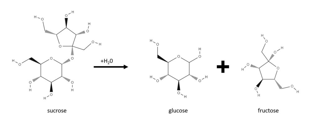 sucrose is broken down into its to sugars fructose and glucose